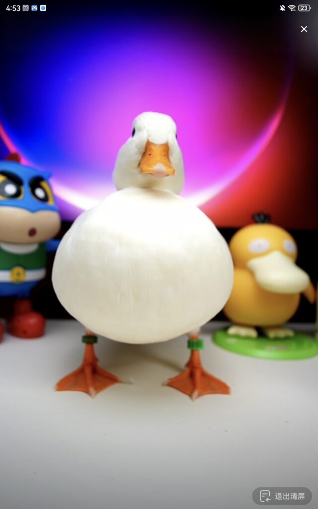 Screenshot_20250811_165345_com.ss.android.ugc.awe